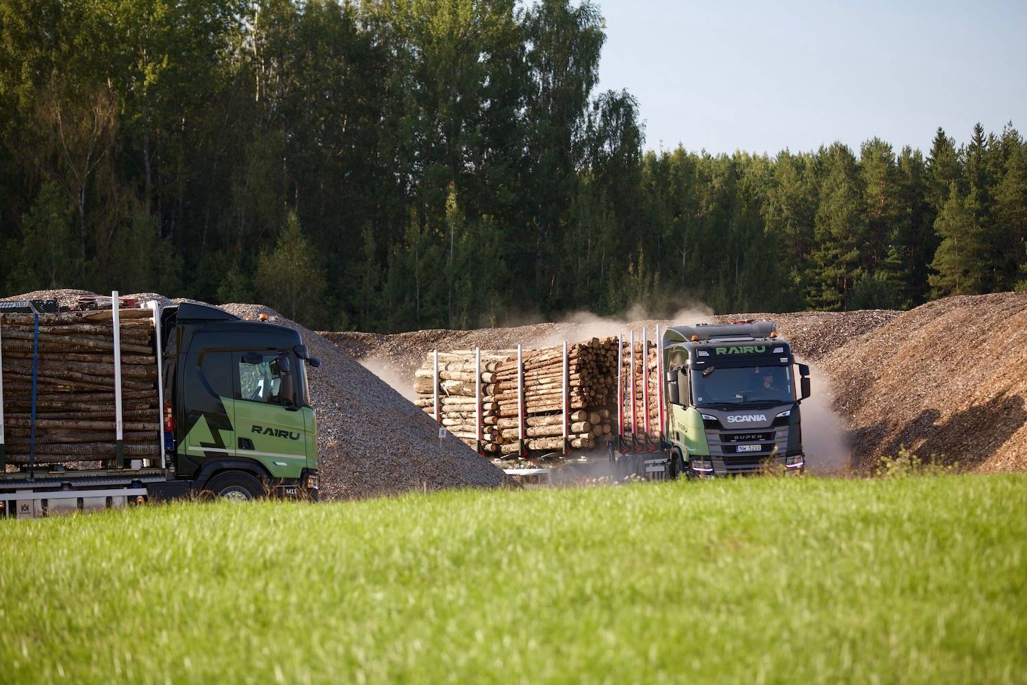 RAIRU kokaudzētava Kokaudzētava