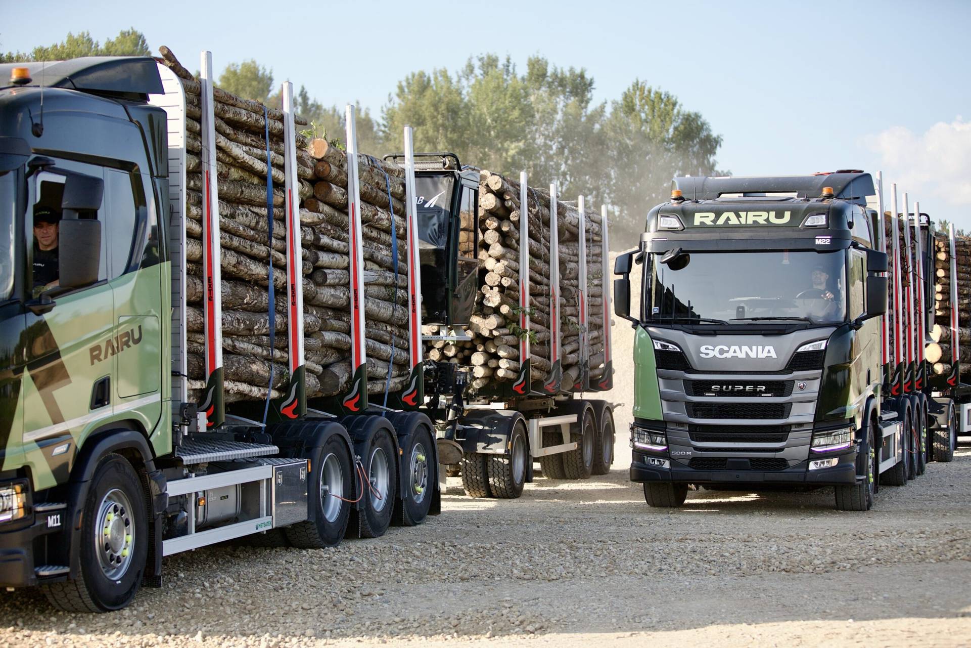 RAIRU kokaudzētava Kokaudzētava